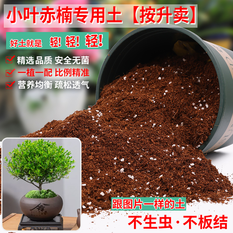 小叶赤楠专用土盆栽种植土酸性土沙性土专用营养土花肥种植有机土