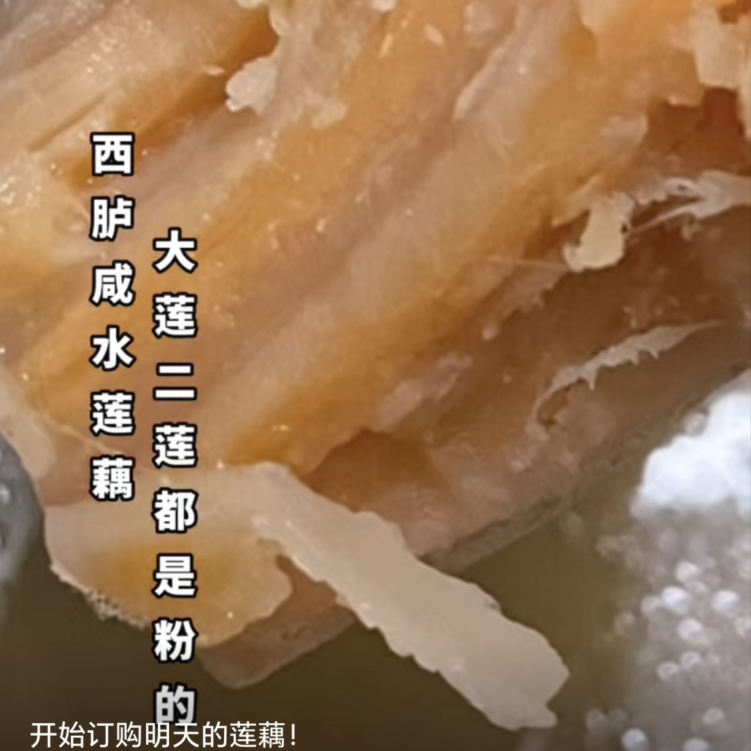 西胪咸水莲藕现挖现发口感香粉甜莲藕味十足