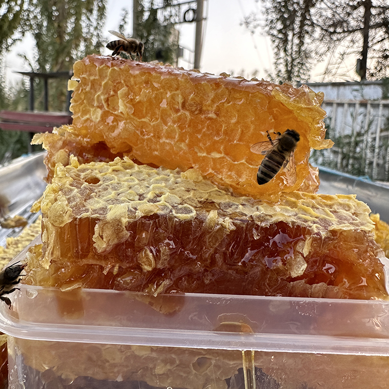 新疆  蜂巢蜜【HARA KONAK HASILI】