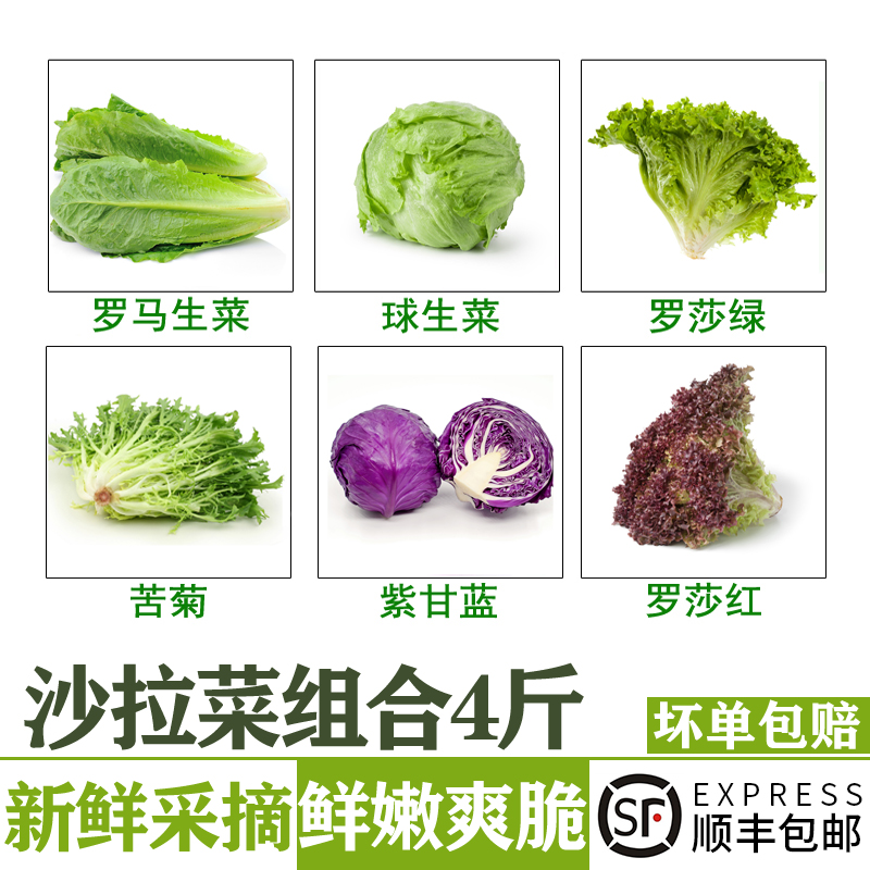 新鲜蔬菜沙拉组合4斤 混合生菜色拉生吃轻食沙拉菜西餐健身食材