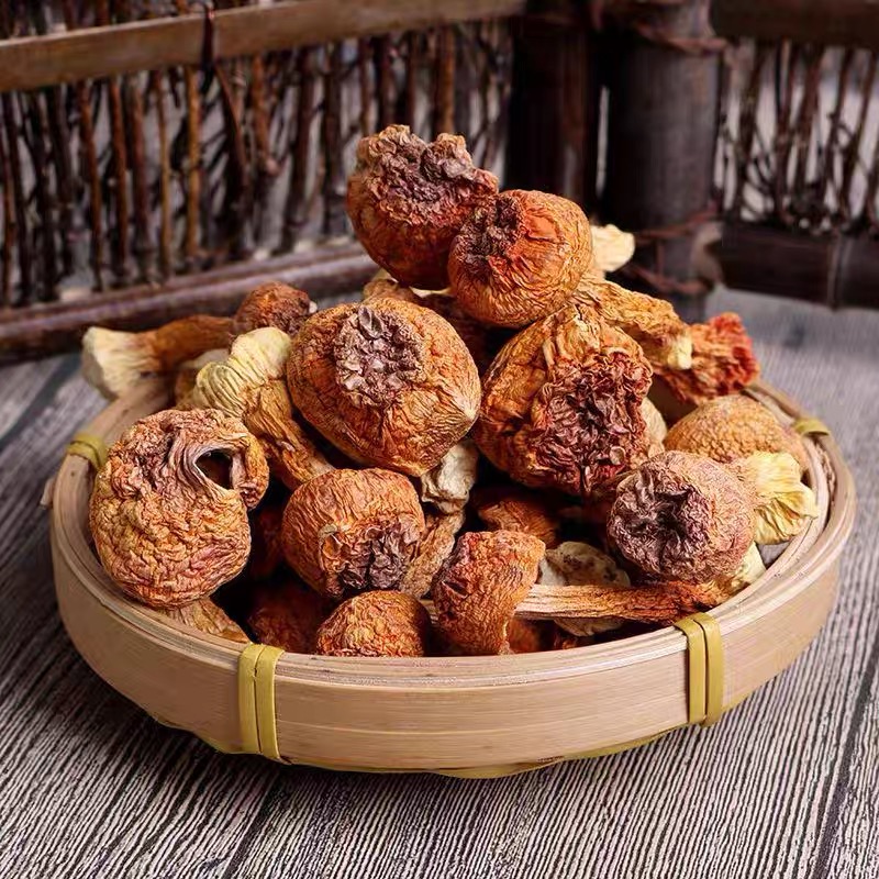 豪媳妇（高山姬松茸干货）美味营养新鲜菌菇食用晾晒炖汤煲汤精选