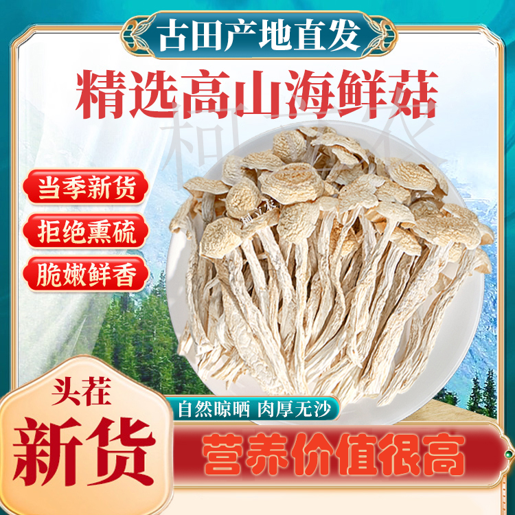 豪媳妇（高山海鲜菇）高山种植海鲜菇优质干货鲜香精品营养