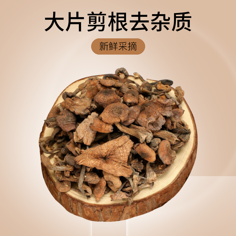 榛蘑剪根250克～500克装新干货采摘自然晾晒装干净无杂质东北山货