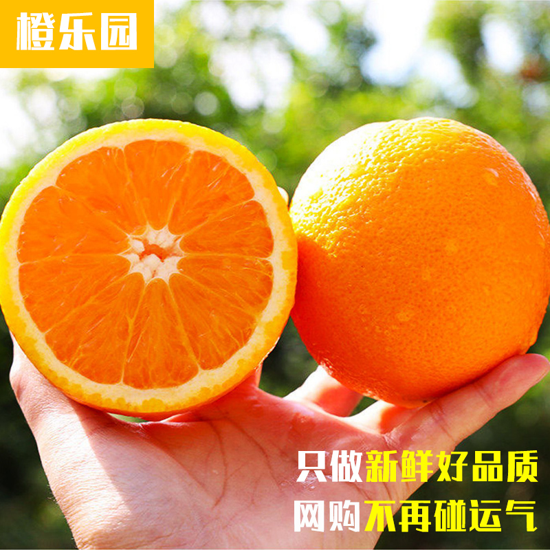 正宗江西赣南脐橙自家果园赣橙现采现摘现发不催熟新鲜应季水果