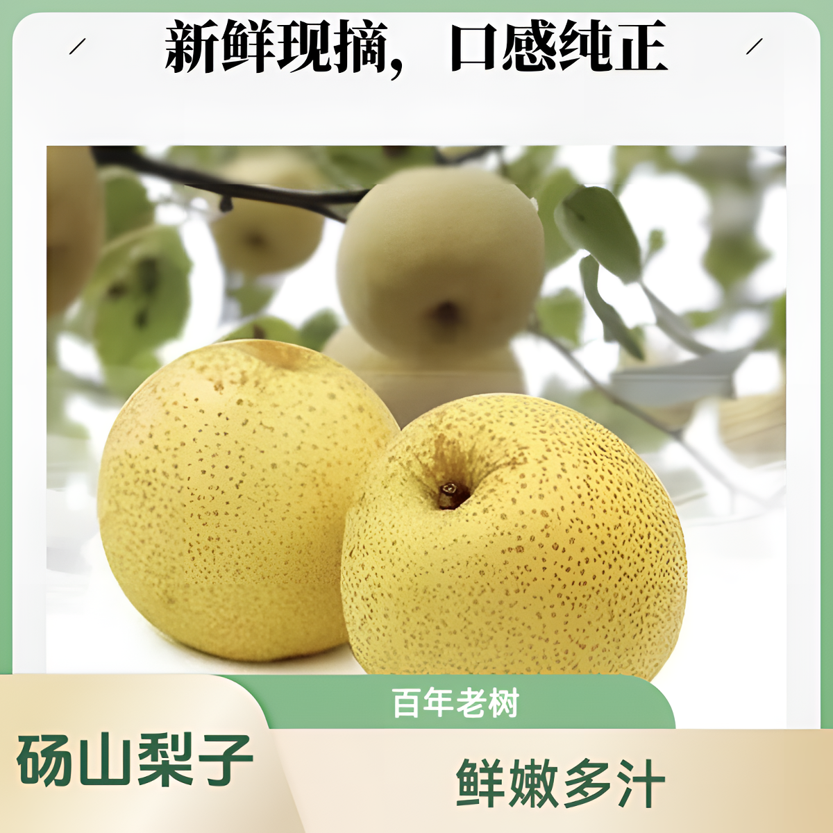 砀山酥梨新鲜水果脆甜多汁皮薄