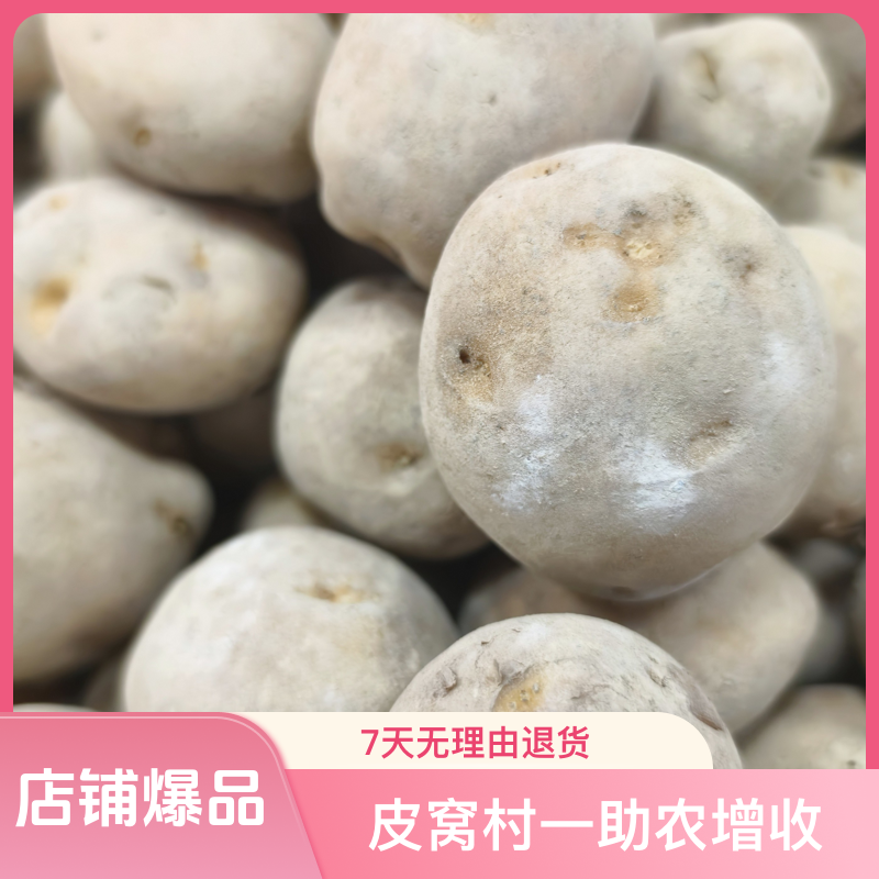 ［皮窝村一助农增收］富硒土豆
