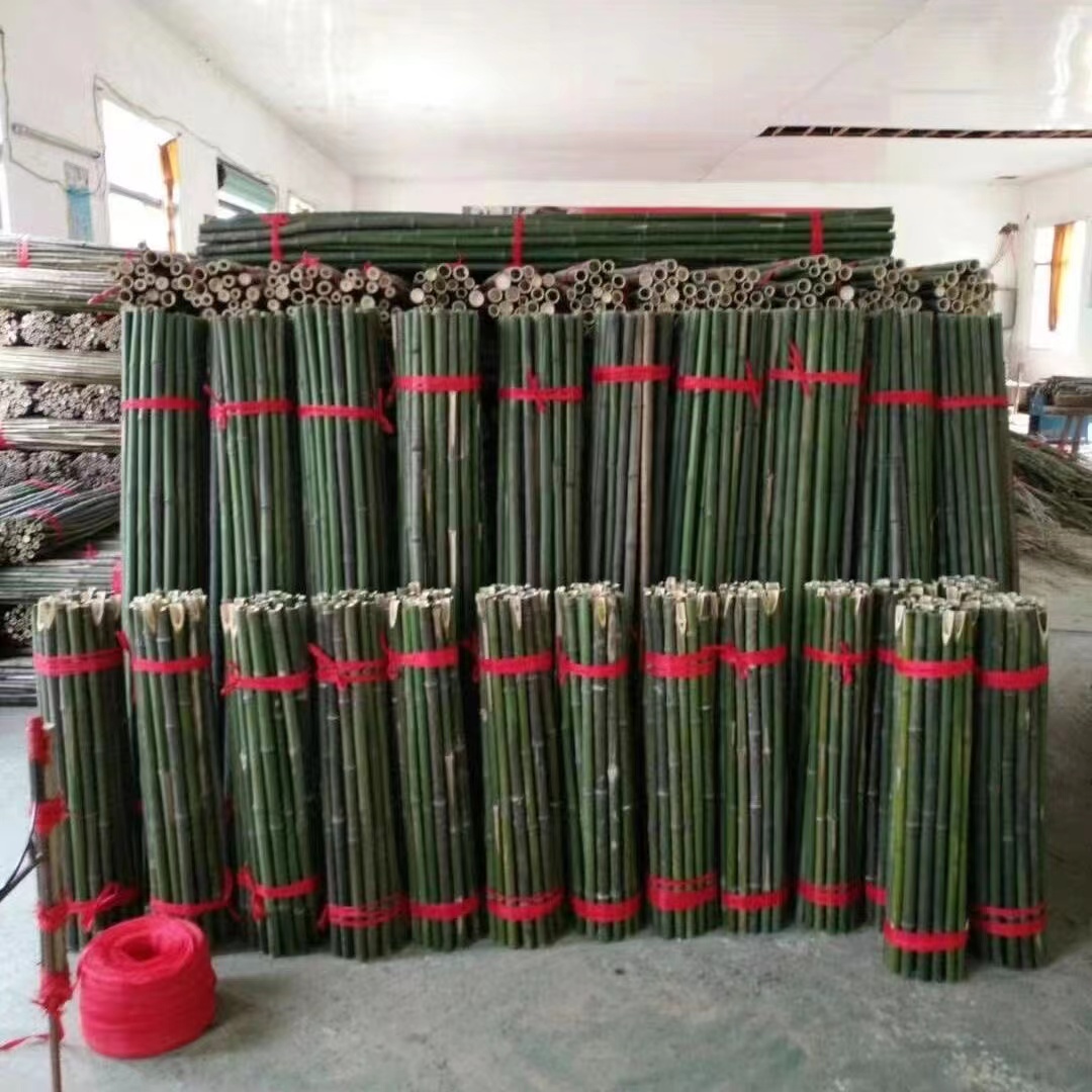 竹竿菜园搭架豆角黄瓜番茄竹子杆篱笆围栏旗杆爬藤架种菜支架竹子