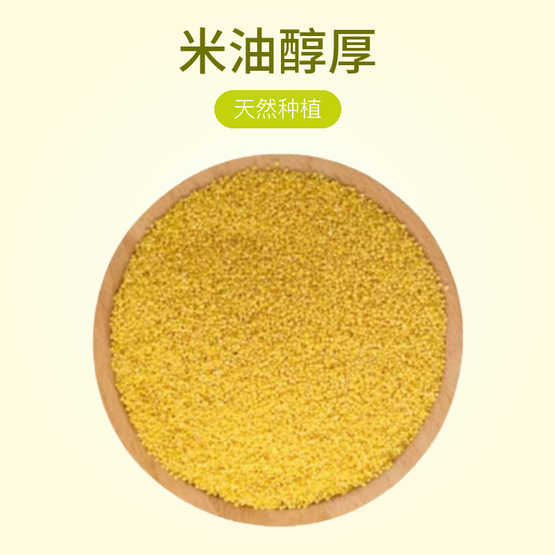 山区小米种植米油浓香