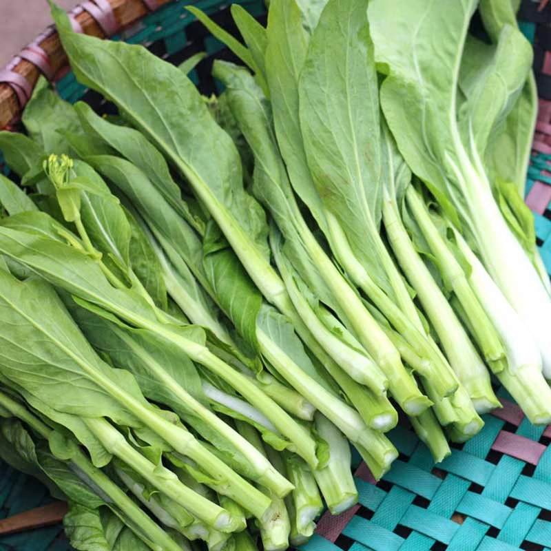 2025湖北农家自种新鲜白菜苔白菜心当季新鲜菜苔蔬菜顺丰包邮嫩