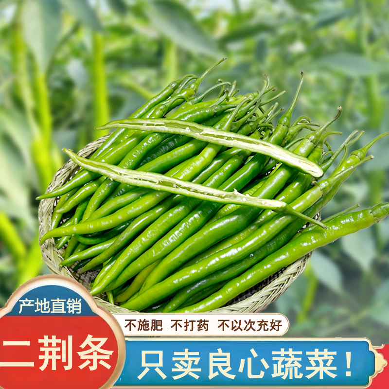 新鲜二荆条辣椒青线椒新鲜现摘现发中辣尖椒剁椒长线辣椒1/3/5斤
