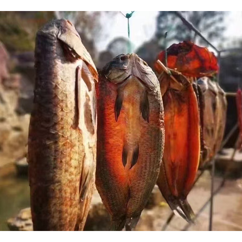 绍兴特产螺蛳青鱼干