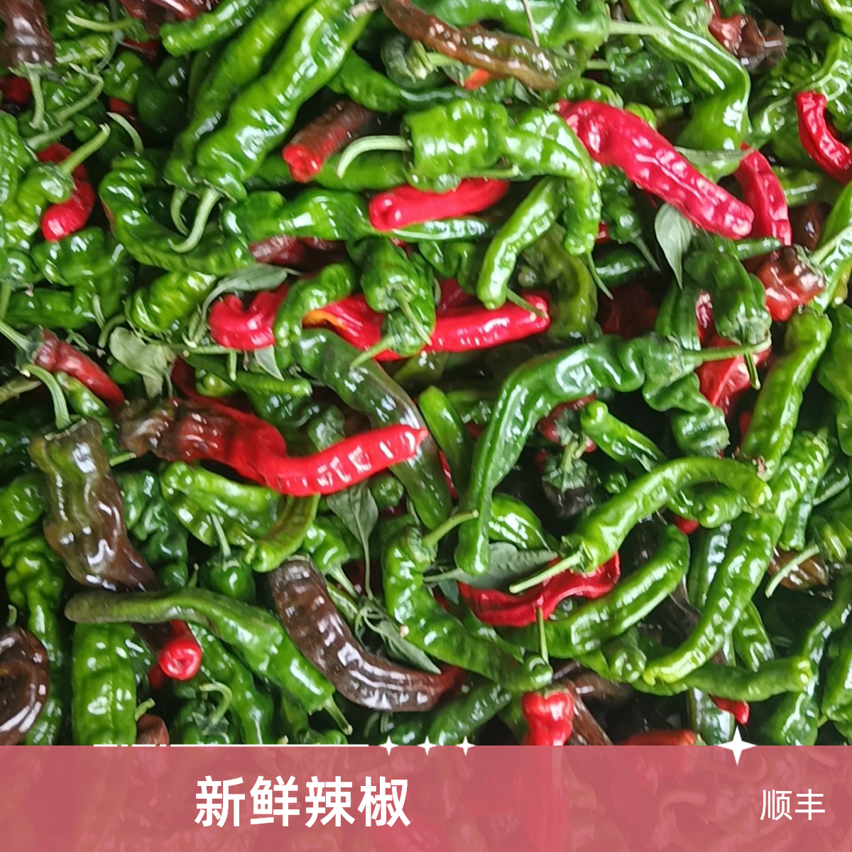 新鲜特辣青椒青红紫皱皮土辣椒2-5斤香辣爆辣农家现摘农村