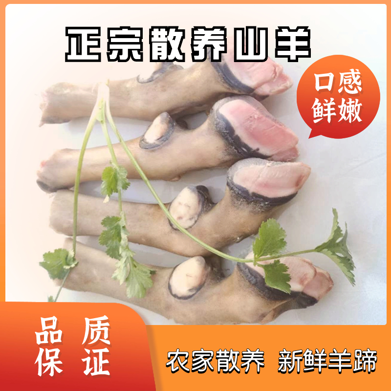 四川黑山羊羊蹄子羊肉农家散养饲养新鲜现杀现发一副装包邮