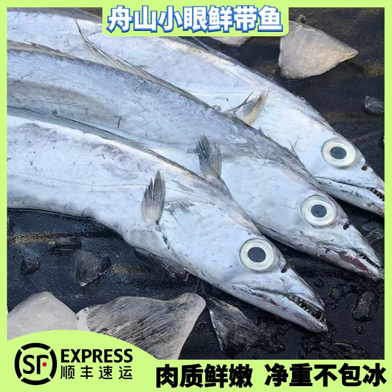 正宗舟山小眼鲜带鱼 纯正东海野生带鱼 肉质细嫩 满口油香