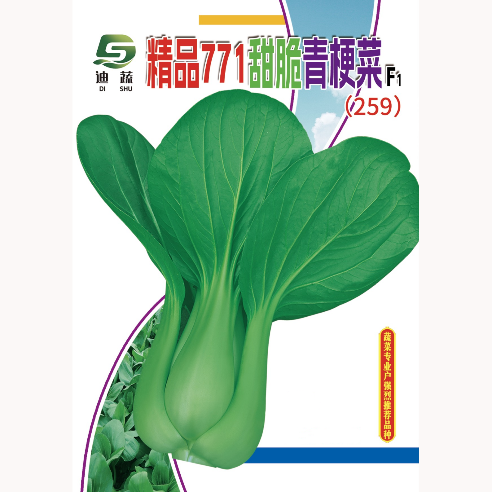 上海青种子259*精品771甜脆青梗菜种籽小包装