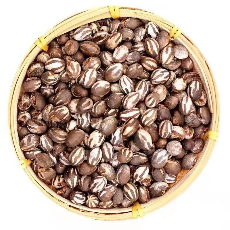 【东北特产】新货杨拉罐洋辣子刺蛾羊喇坦克虫150g/250g/500g顺丰