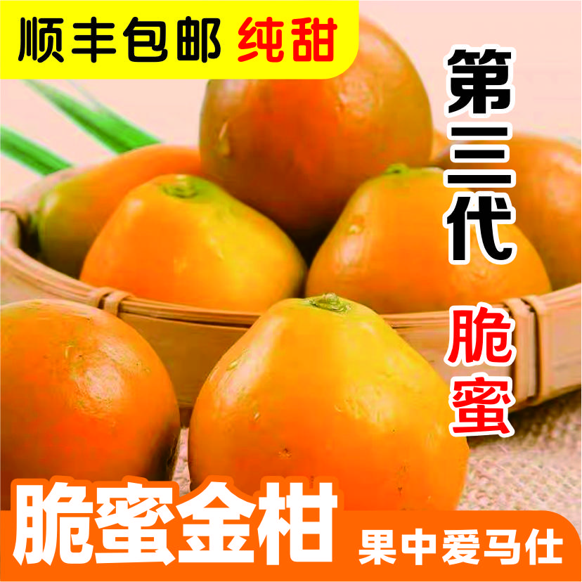 【三代脆蜜】果三姐融安金桔脆蜜金柑爆甜多汁现摘新鲜顺丰包邮