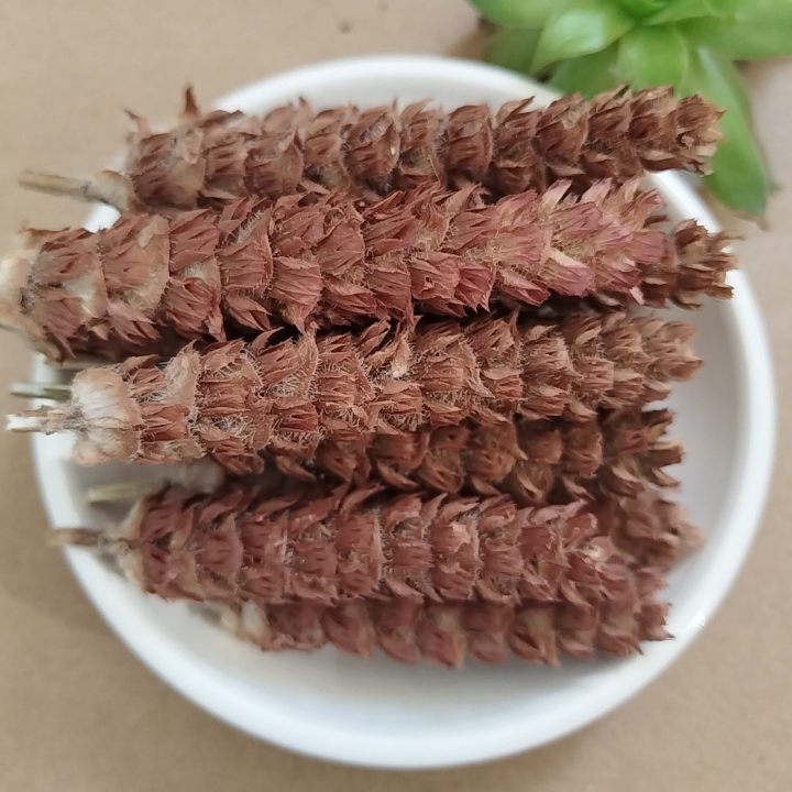 夏枯草中药材白毛夏草2024新货蒲公英批发晒干泡水夏枯球