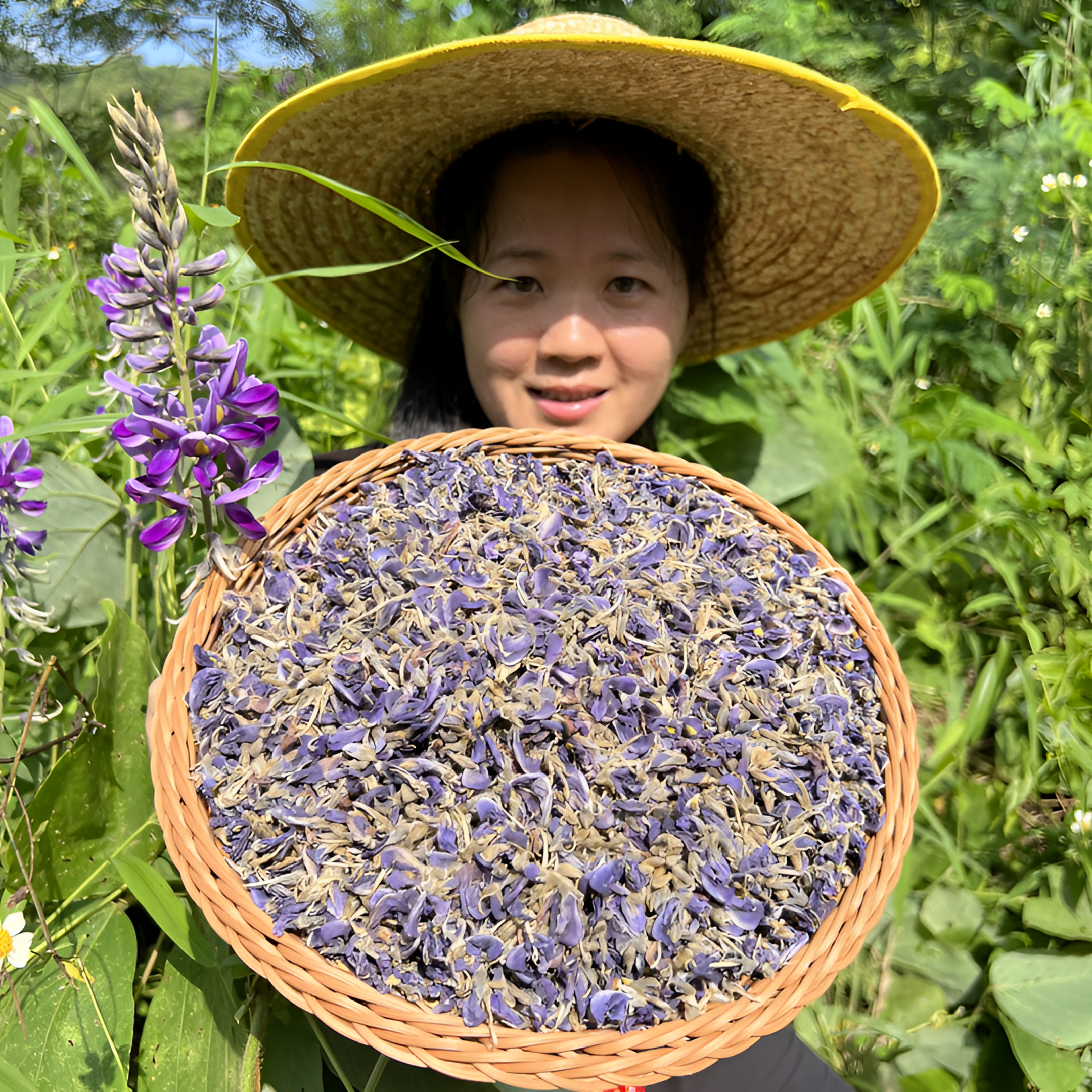 野葛花葛根花葛藤花200克新鲜干货可加枸杞葛花茶毛葛花产地产品