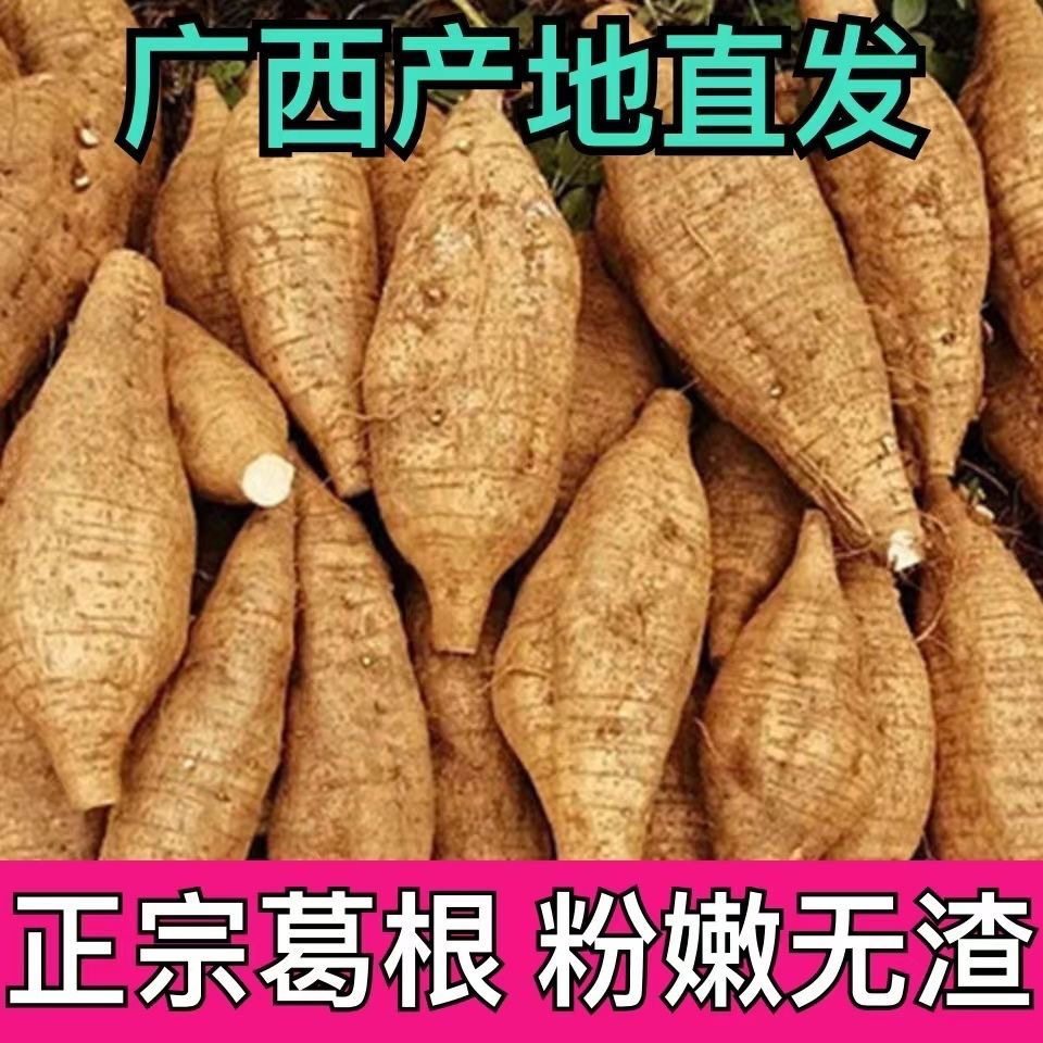 藤县正宗和平粉葛广西新鲜葛根煲汤葛根粉原味现挖葛署粉嫩无渣
