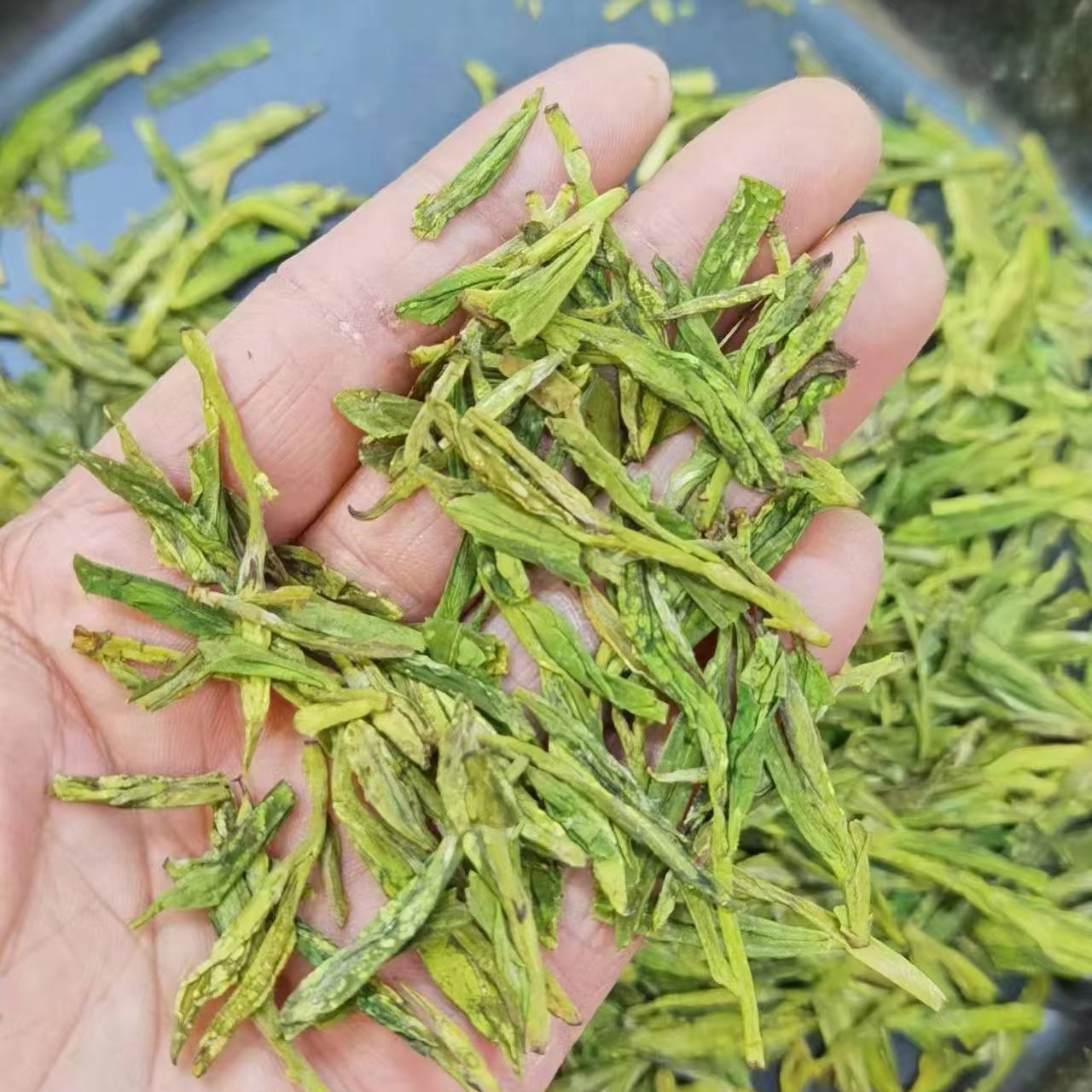 龙井43号【200绿汤 久泡不苦】