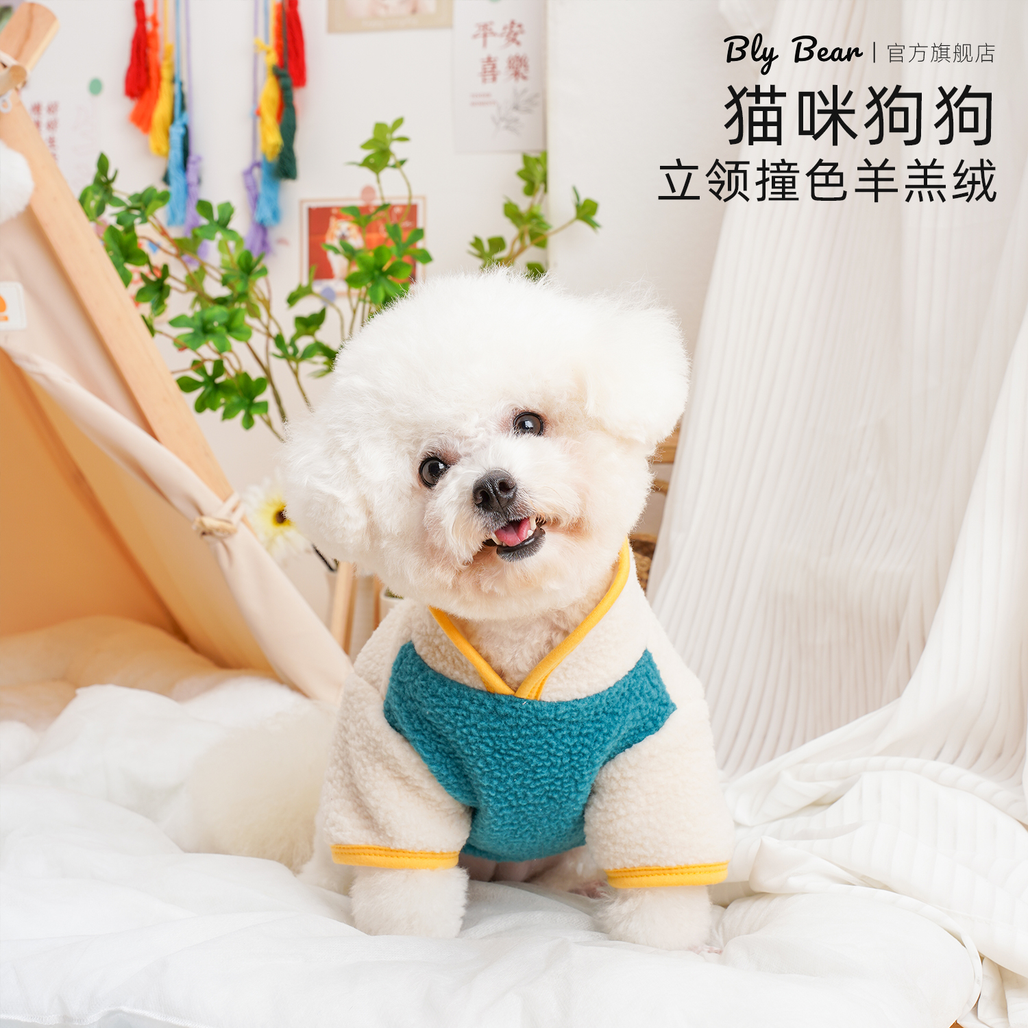 【立领撞色羊羔绒】宠物衣服防掉毛秋冬款高颜值猫衣服四脚衣狗狗