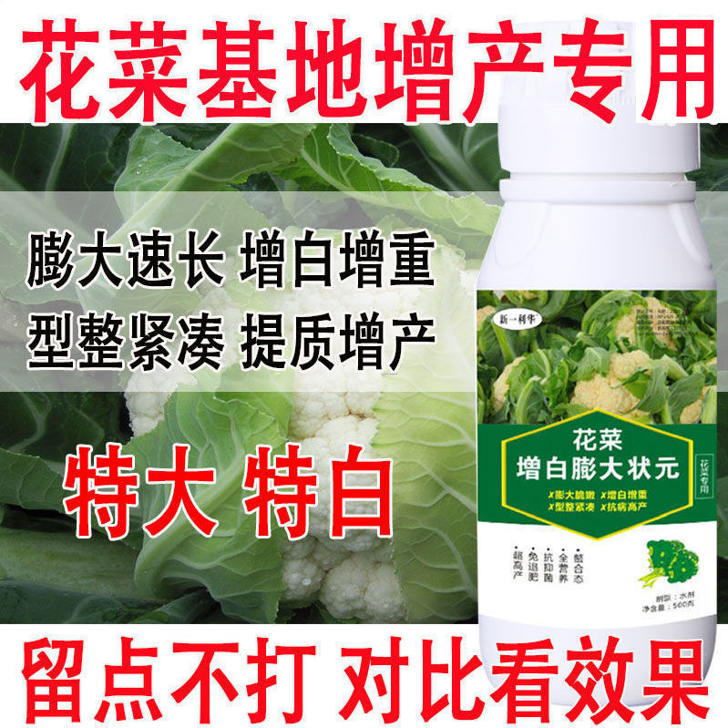花菜专用叶面肥花菜膨果素膨大素肥料增产叶面肥花菜猛长专用肥料