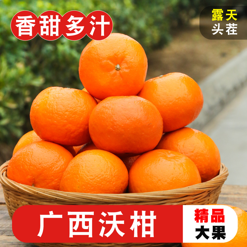 双苑广西武鸣沃柑新鲜采摘孕妇水果当季柑橘子甜蜜多汁爽口5/9斤