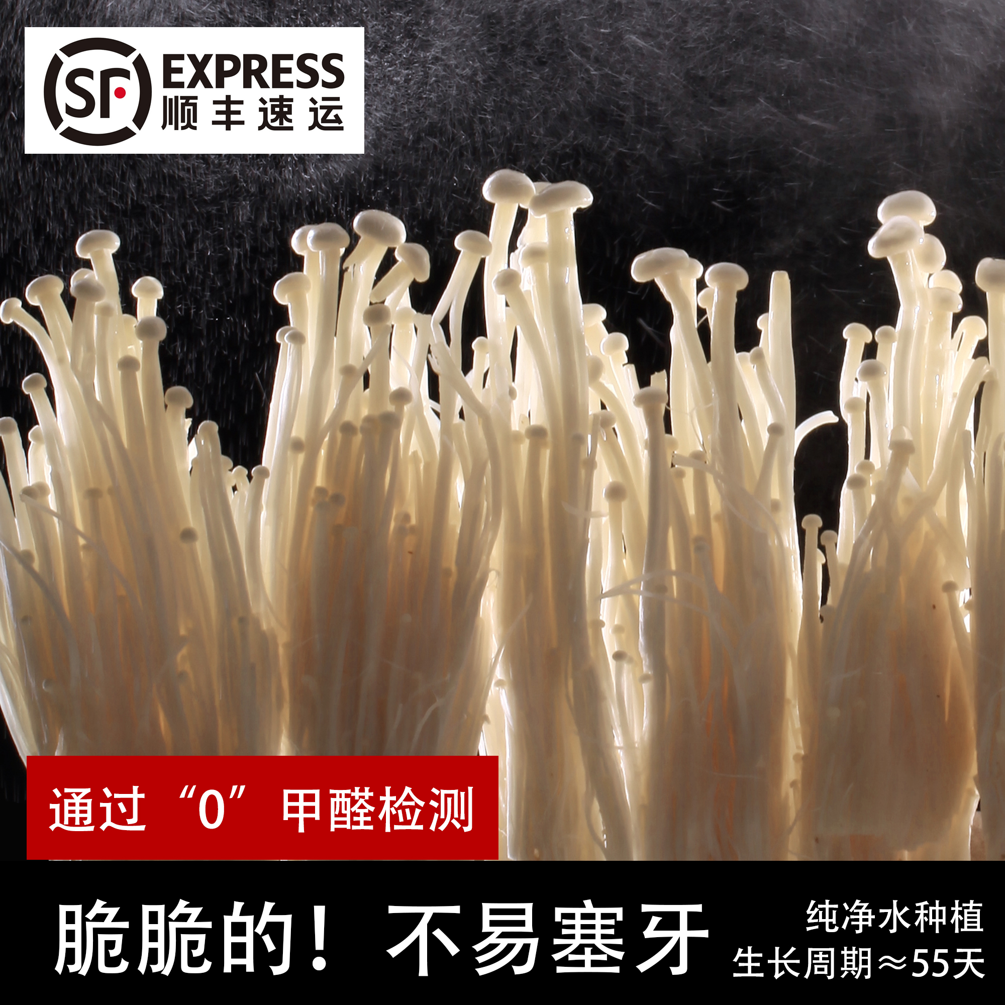 可生食【新鲜金针菇鹿茸菇香菇绣球菌】纯净水无甲醛 顺丰苏州发货