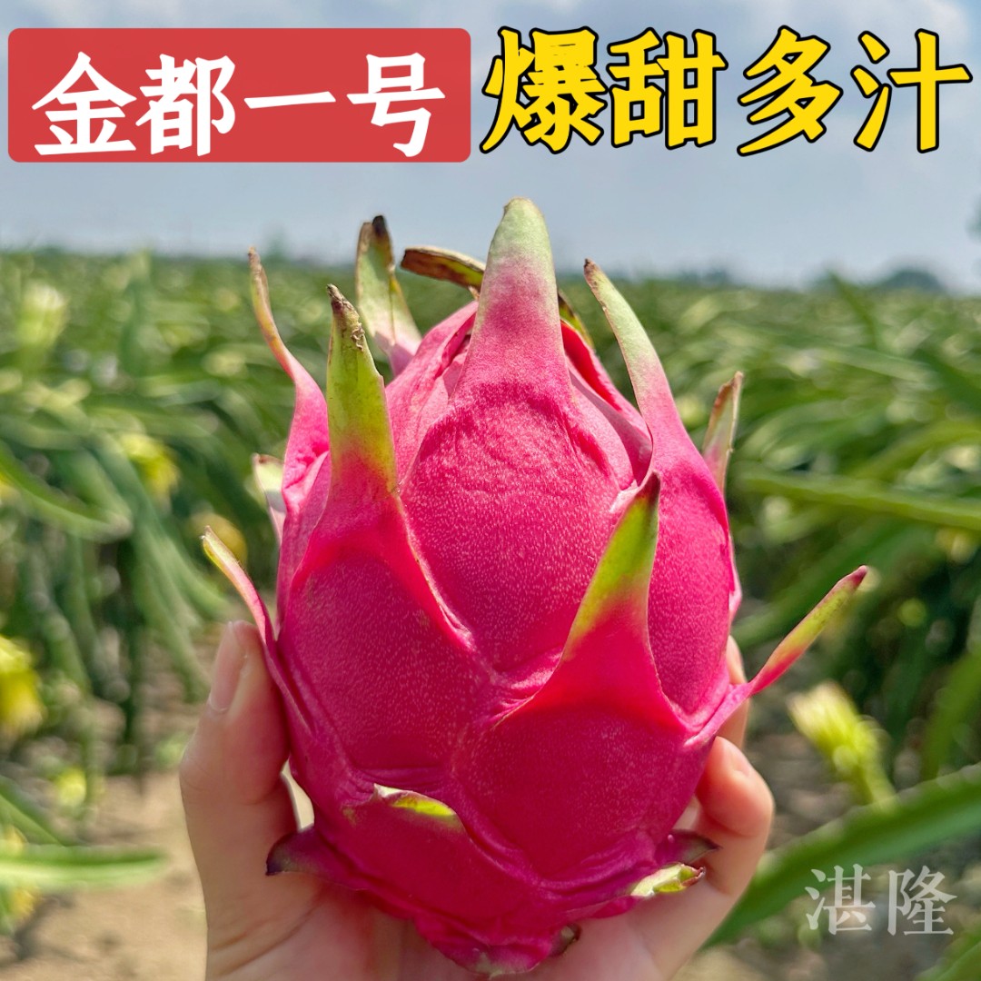 金都一号红心火龙果4.5-5斤中大果（5-8个）坏果包赔