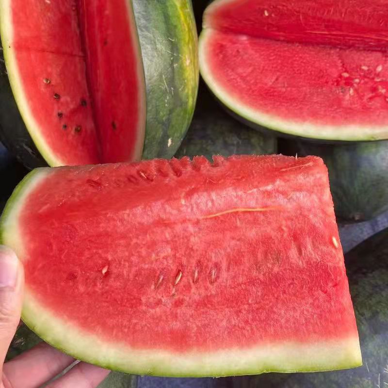 黑美人西瓜孕妇新鲜水果当季黑籽甜西瓜皮薄少籽超甜包邮4-9斤