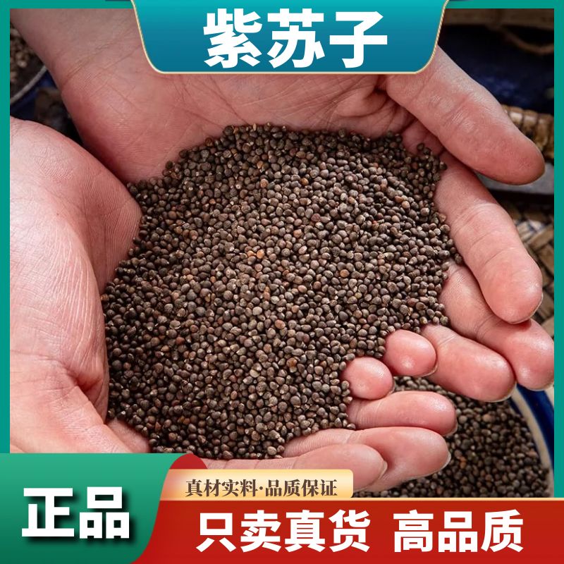 正宗紫苏籽500g干货紫苏子食用苏籽油紫苏籽250g辣木籽滋补原料