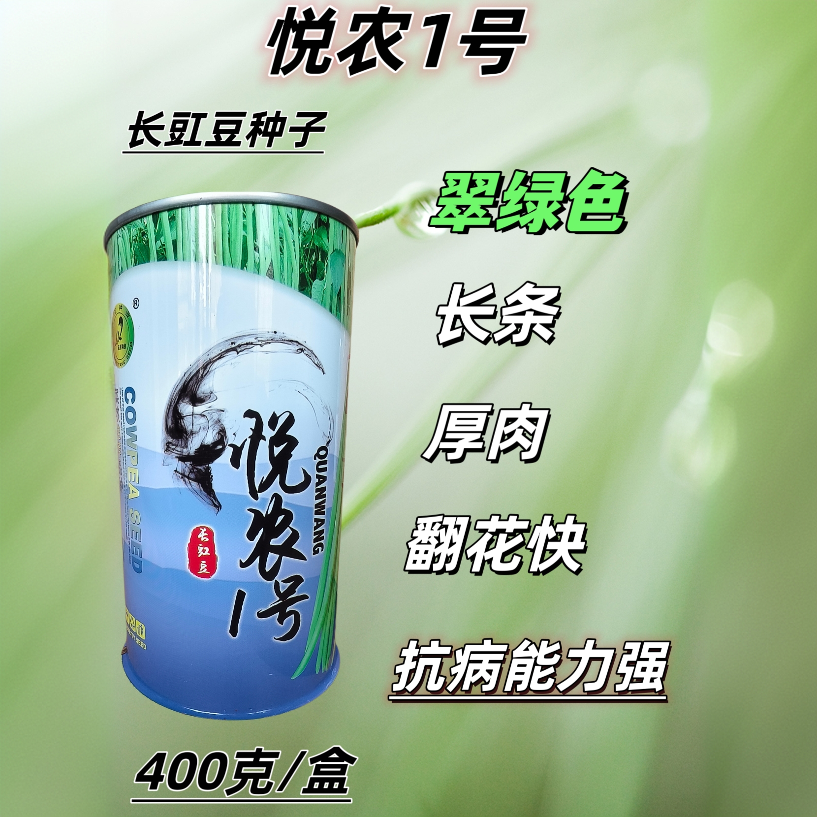 悦农一号豆角种子豇豆翠绿色高产长条厚肉型抗病能力强豇豆种子