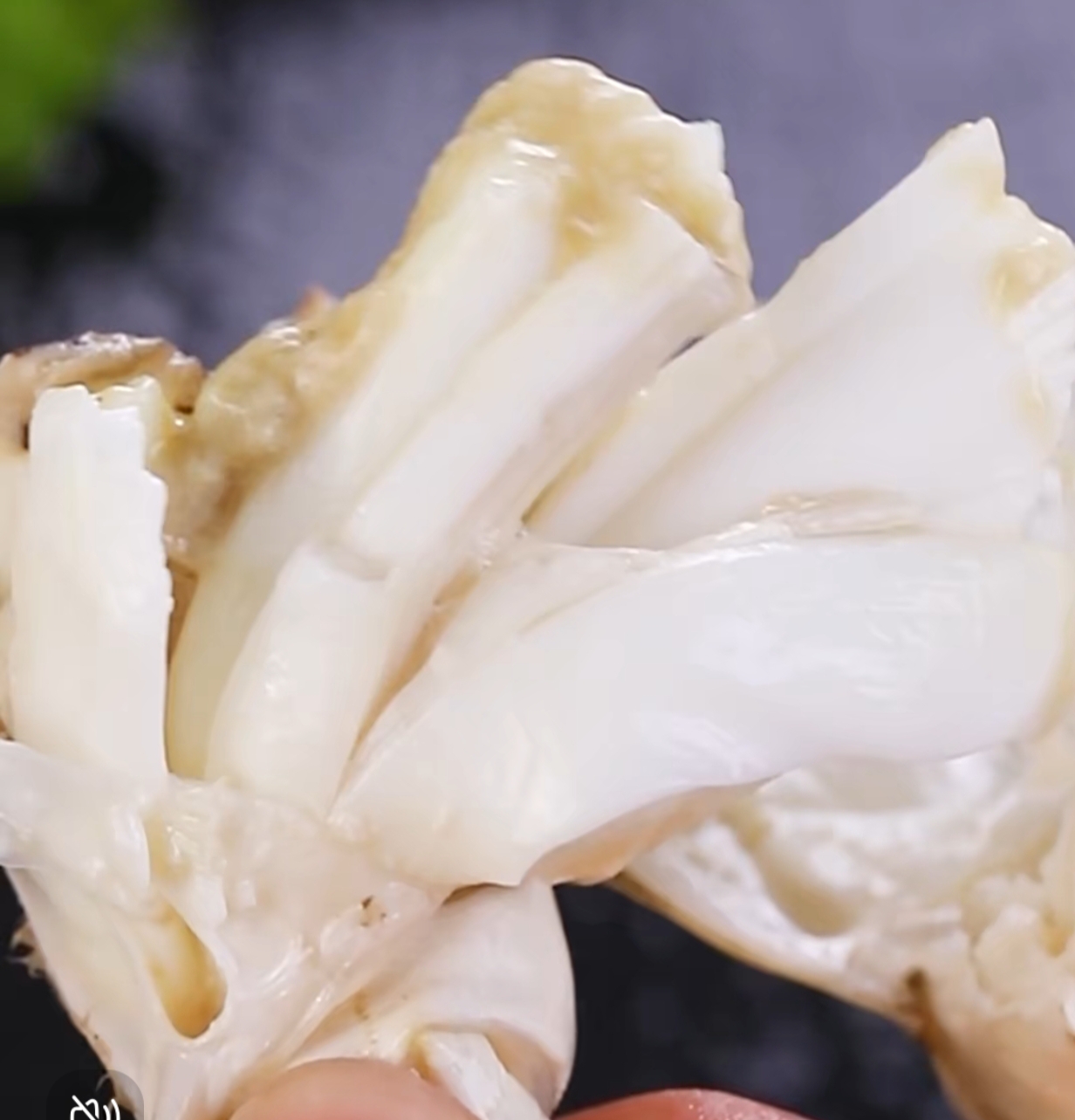 丹东东港 大公蟹 每只5/8两 当天捕捞 保鲜不保活