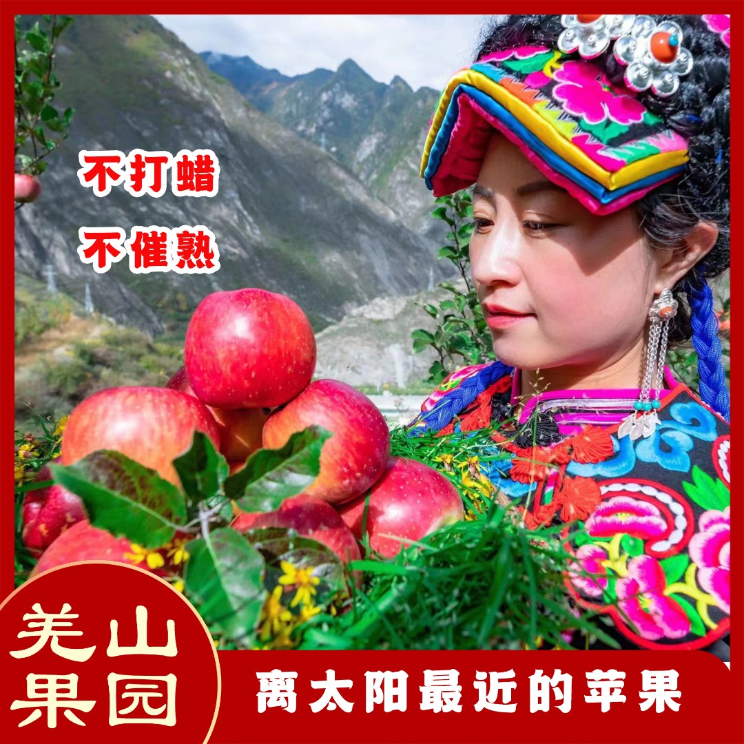 四川茂汶苹果 羌山糖心红富士 （不是每个都会有糖心的介意者慎拍）