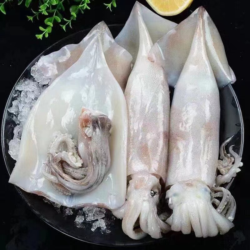 新鲜去皮大鱿鱼 6斤/份 每份4-6条 去皮去内脏 免清洗 单条包装