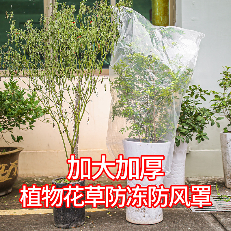树木防冻罩保暖布加厚冬季室外植物保温膜花卉盆栽果树绿植防寒袋