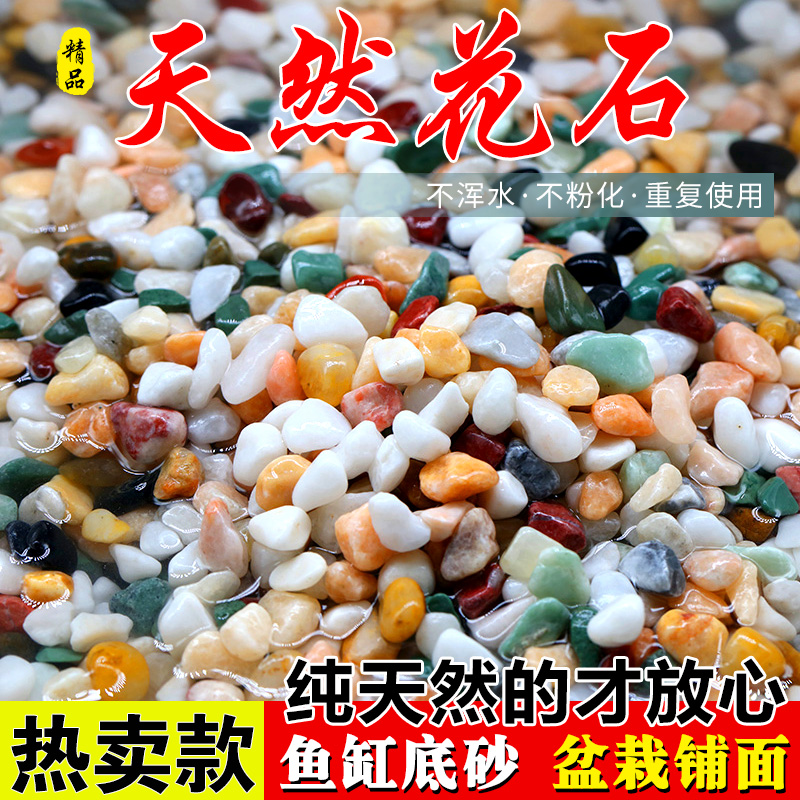天然小彩石多肉盆栽铺面石子鱼缸专用铺底砂雨花石头园艺装饰造景