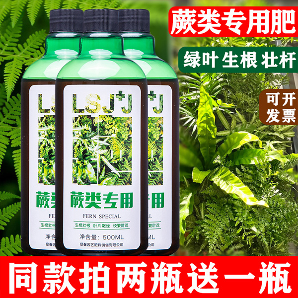 蕨类专用肥营养液桫椤肥料铁线蕨有机肥金丝蕨营养液毛蕨鹿角蕨类