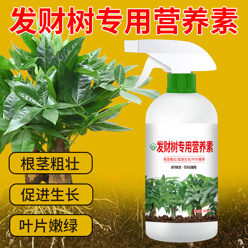 【直接喷免稀释】发财树专用氮磷钾微生物叶面肥植物营养液水溶肥