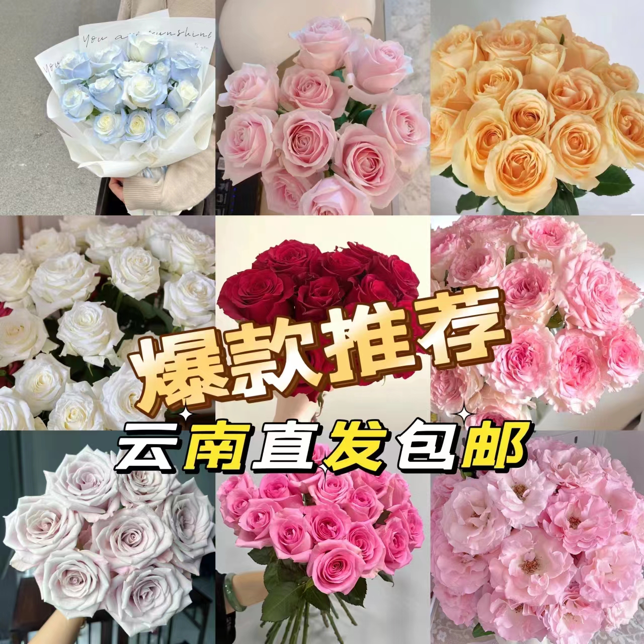 顺顺  老粉玫瑰 已发货不支持退货