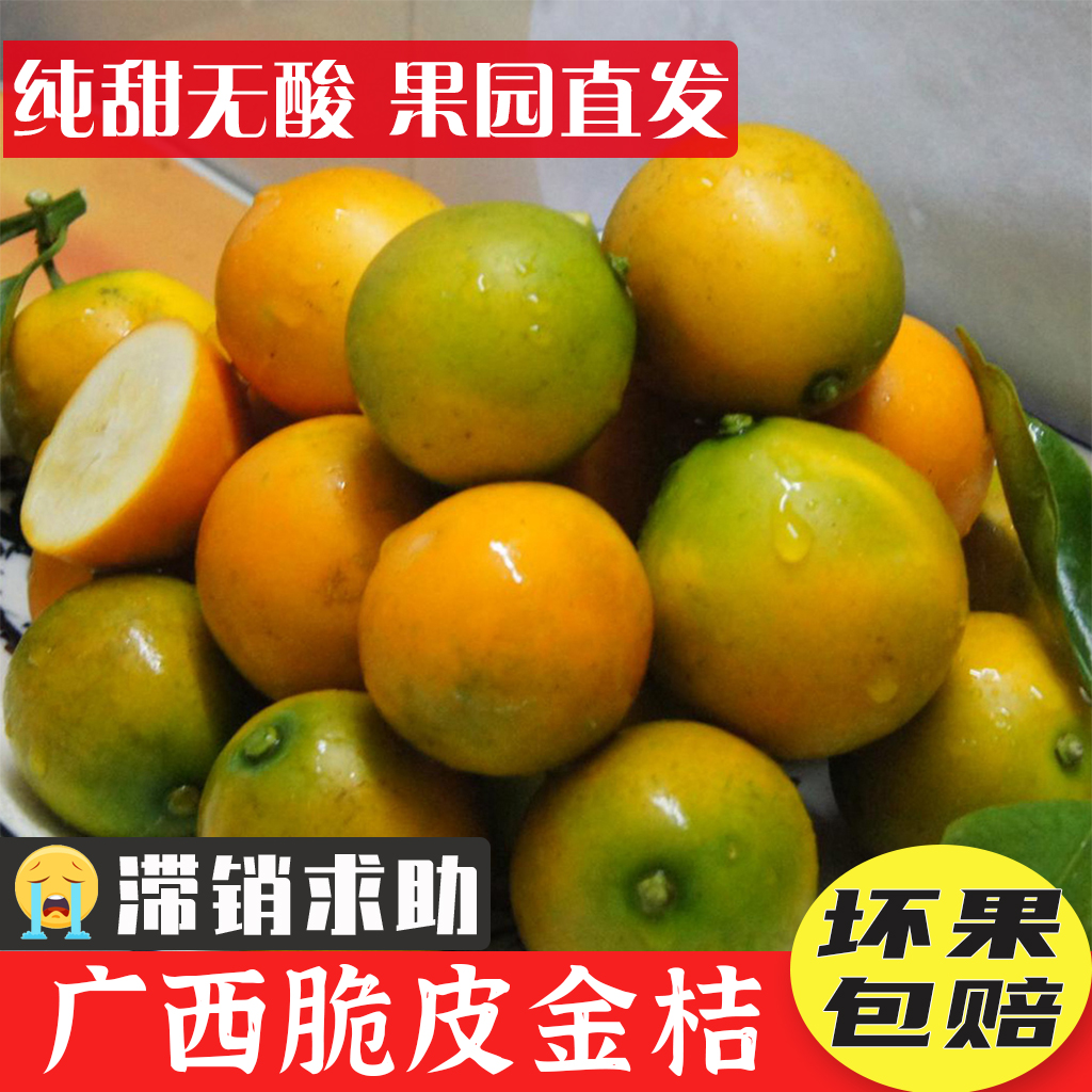 广西脆皮金桔小金桔纯甜无酸桂林小金橘新鲜水果优质融安滑皮金桔