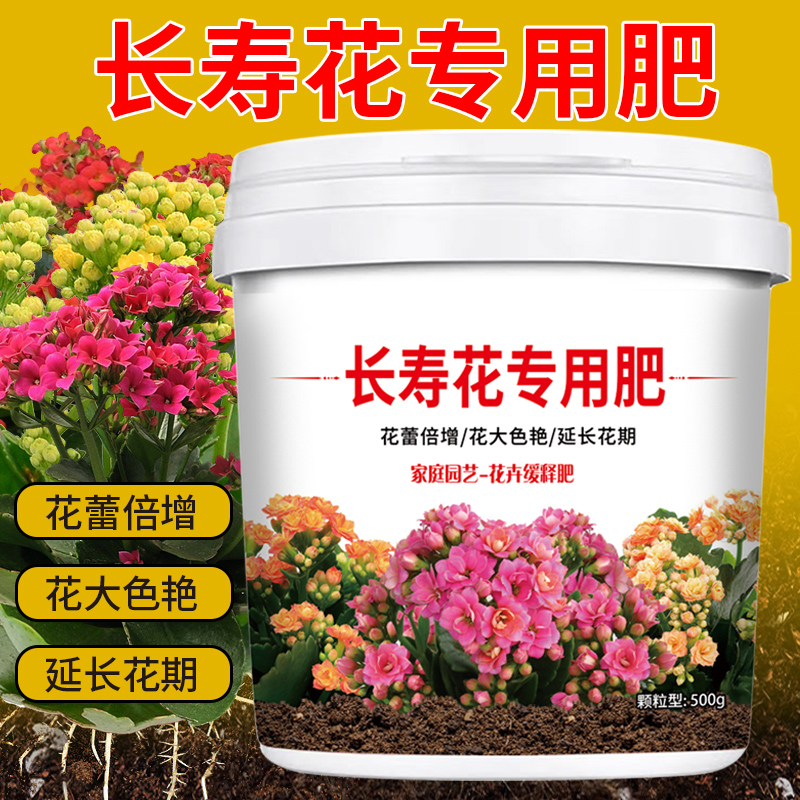 【长寿花专用肥料】花蕾倍增花大色艳延长花期缓释型颗粒营养有机肥