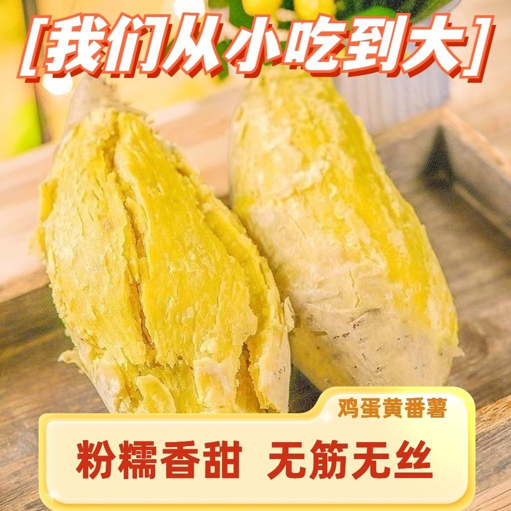 广东潮汕现挖黄心板栗薯香甜软糯粉无丝产地直发鸡蛋黄番薯白地瓜
