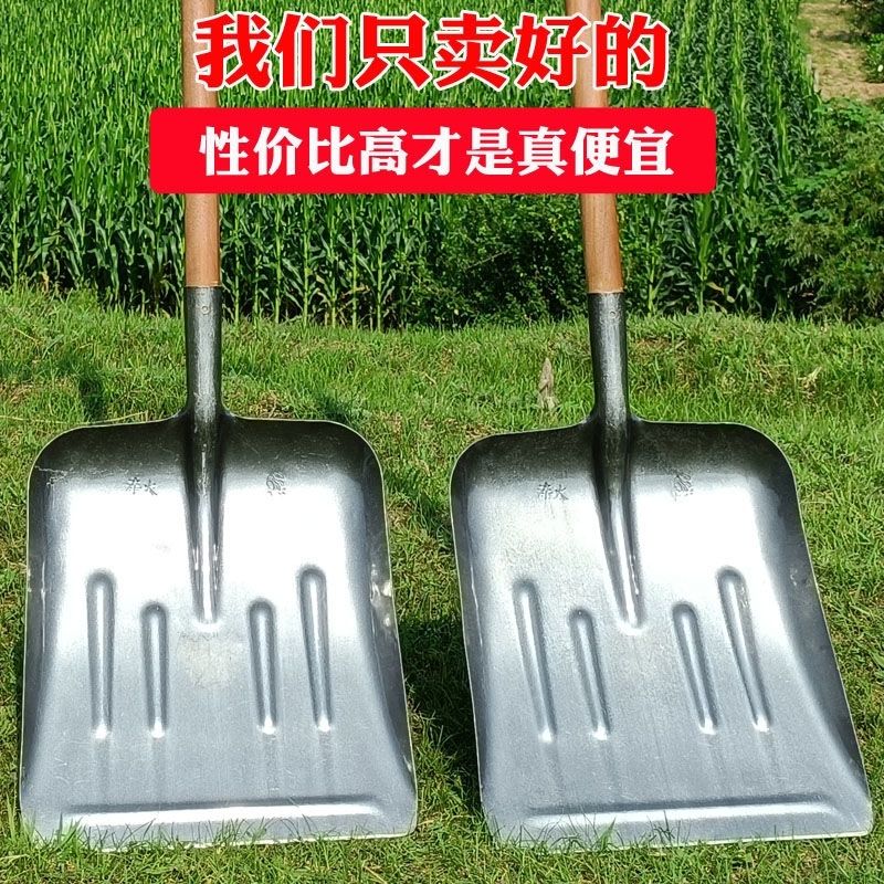 养殖场铲粪大方锹铲粮食铲雪平头高锰钢锹加厚农用大方锹多功能锹
