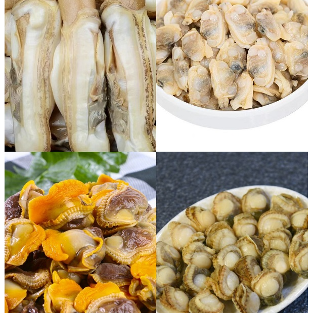 【主播推荐】渤海湾鲜活速冻海鲜（冻鲜）礼盒真空包装4件套