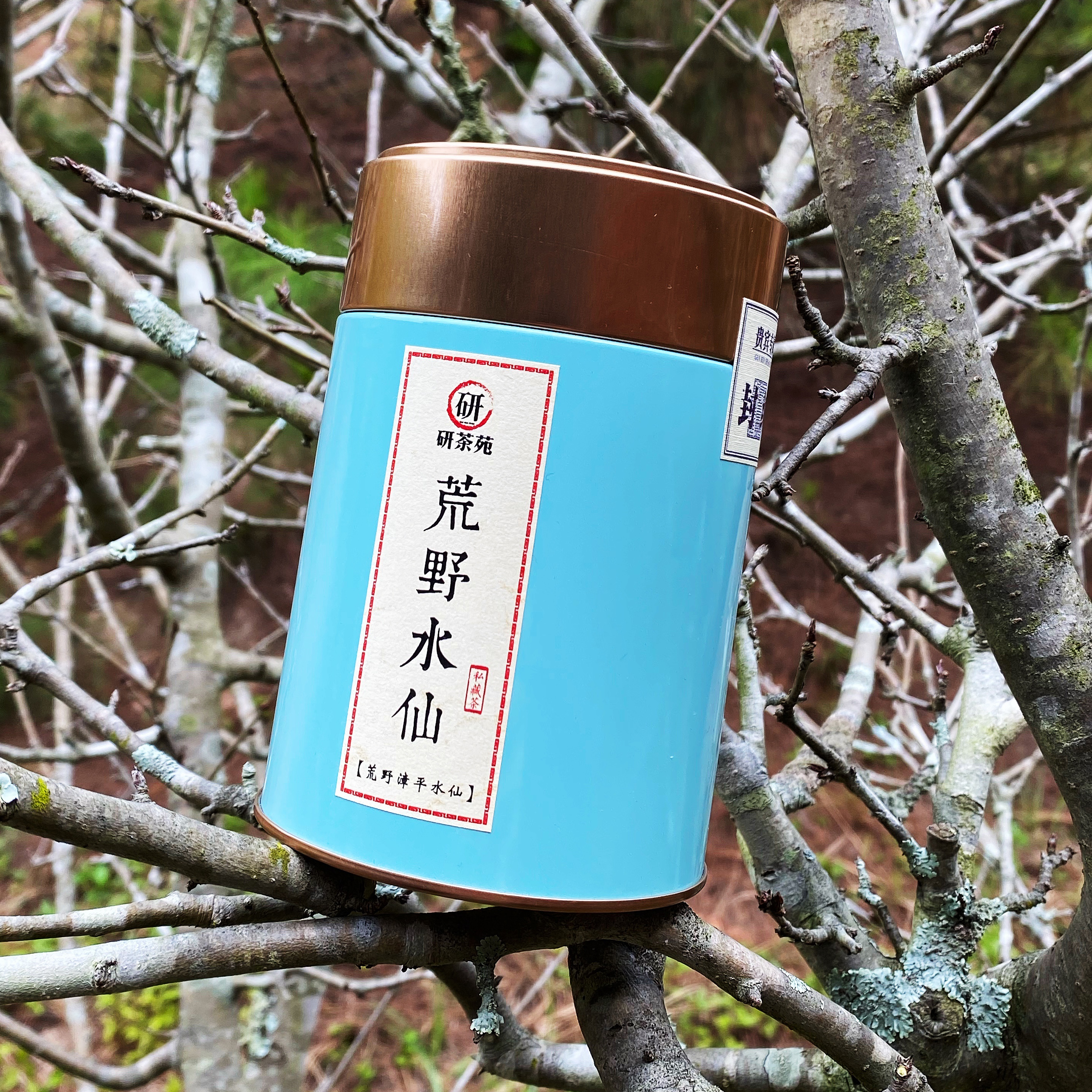 【荒野水仙】高货品质 如兰似桂 唇齿留香 回甘持久 特级漳平水仙茶