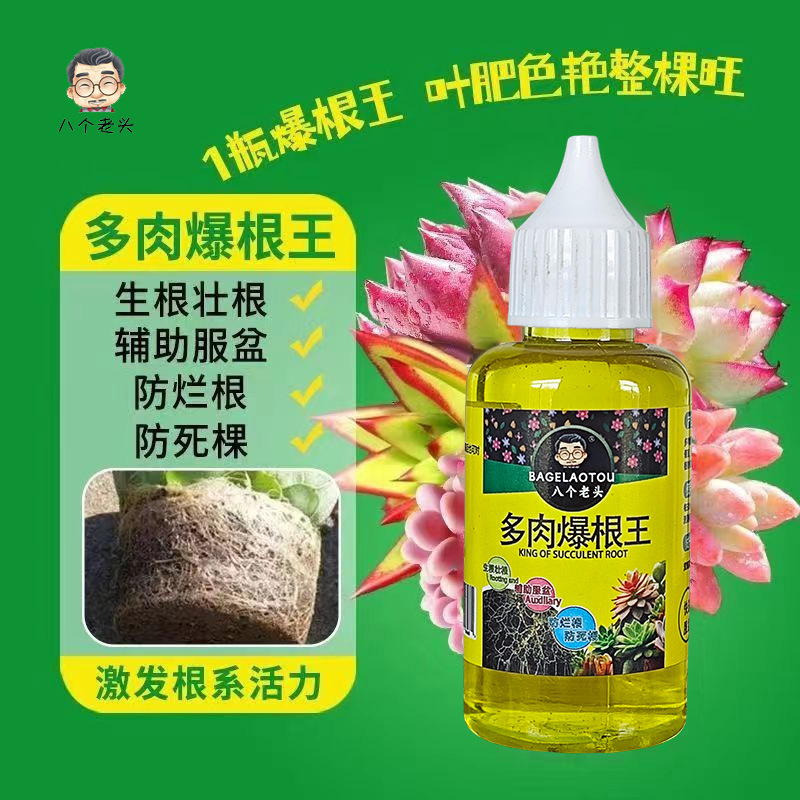 多肉爆根王快速生根壮苗剂多肉植物养花水肥通用营养液生根液钾肥