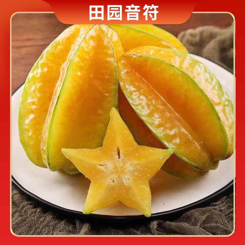 【田园音符】福建漳州下河杨桃3斤/4.5斤装  单果150g+