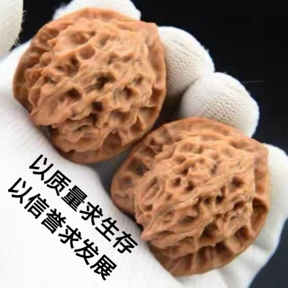 文玩核桃盘山公子帽狮子头经典老品种红皮果易上色练手把玩推荐